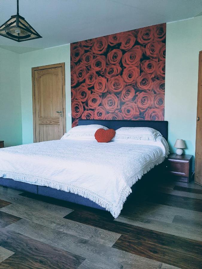 Irene Apartments Друскининкай Экстерьер фото