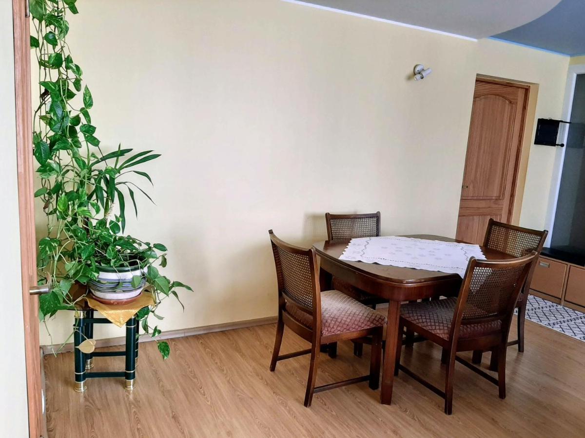 Irene Apartments Друскининкай Экстерьер фото