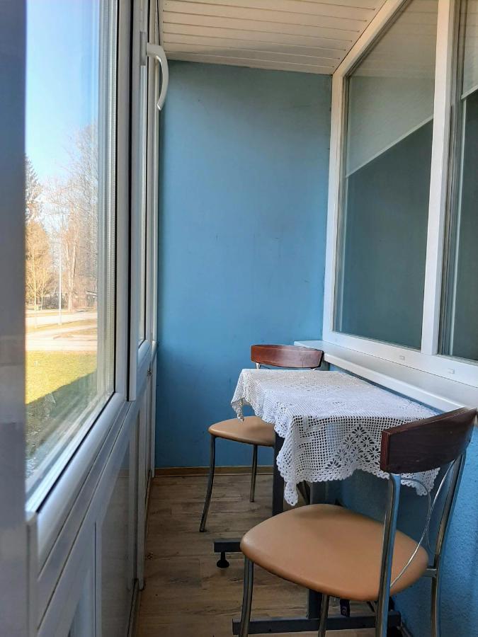 Irene Apartments Друскининкай Экстерьер фото
